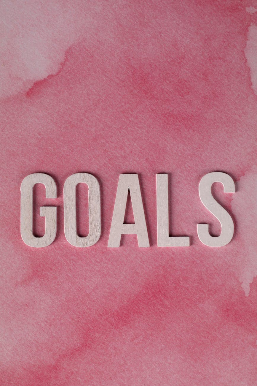 2013 Goals