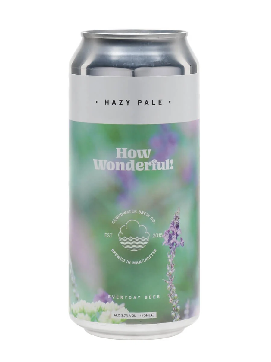 Cover of How Wonderful!