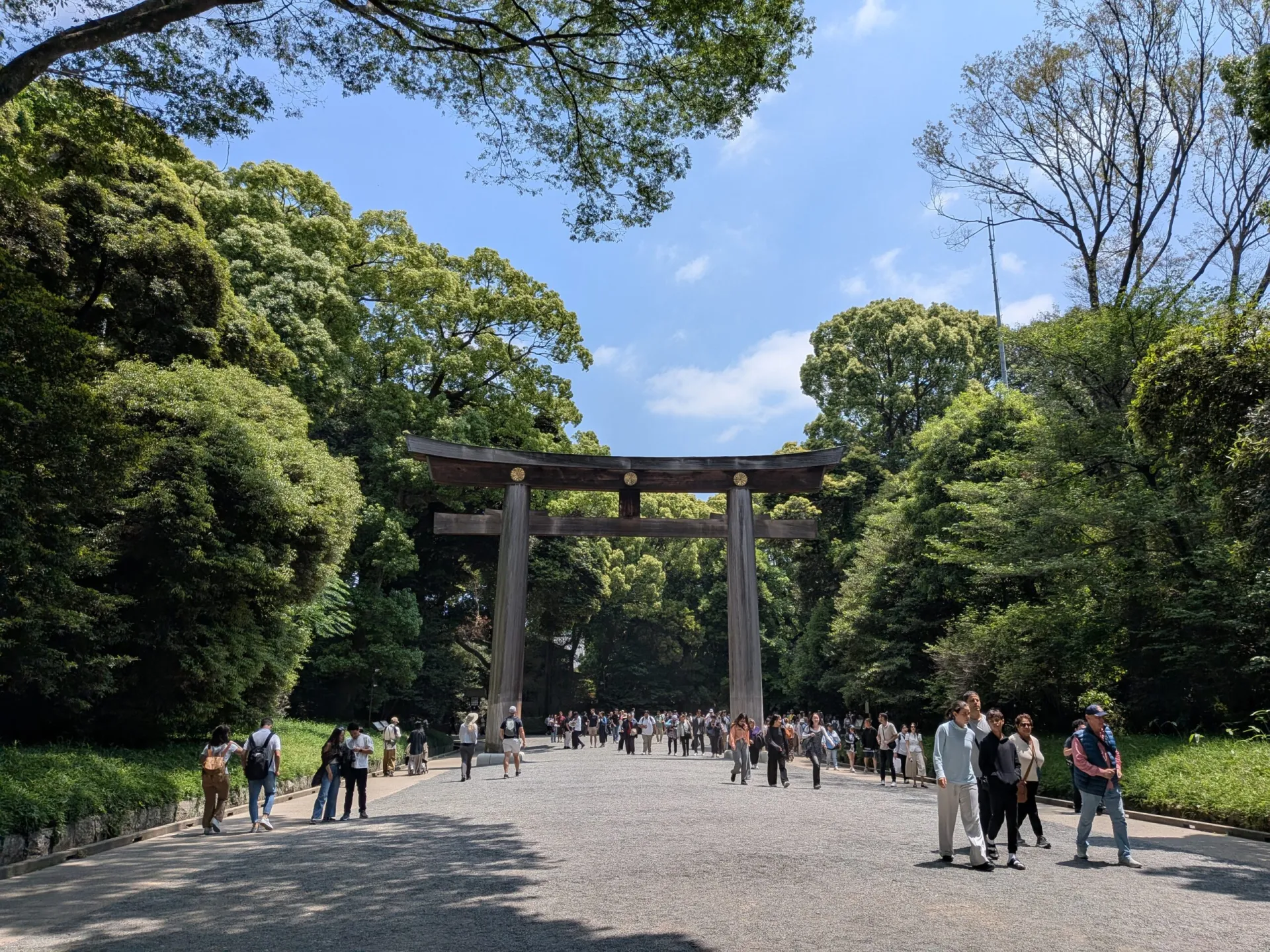 Cover of Kyoto