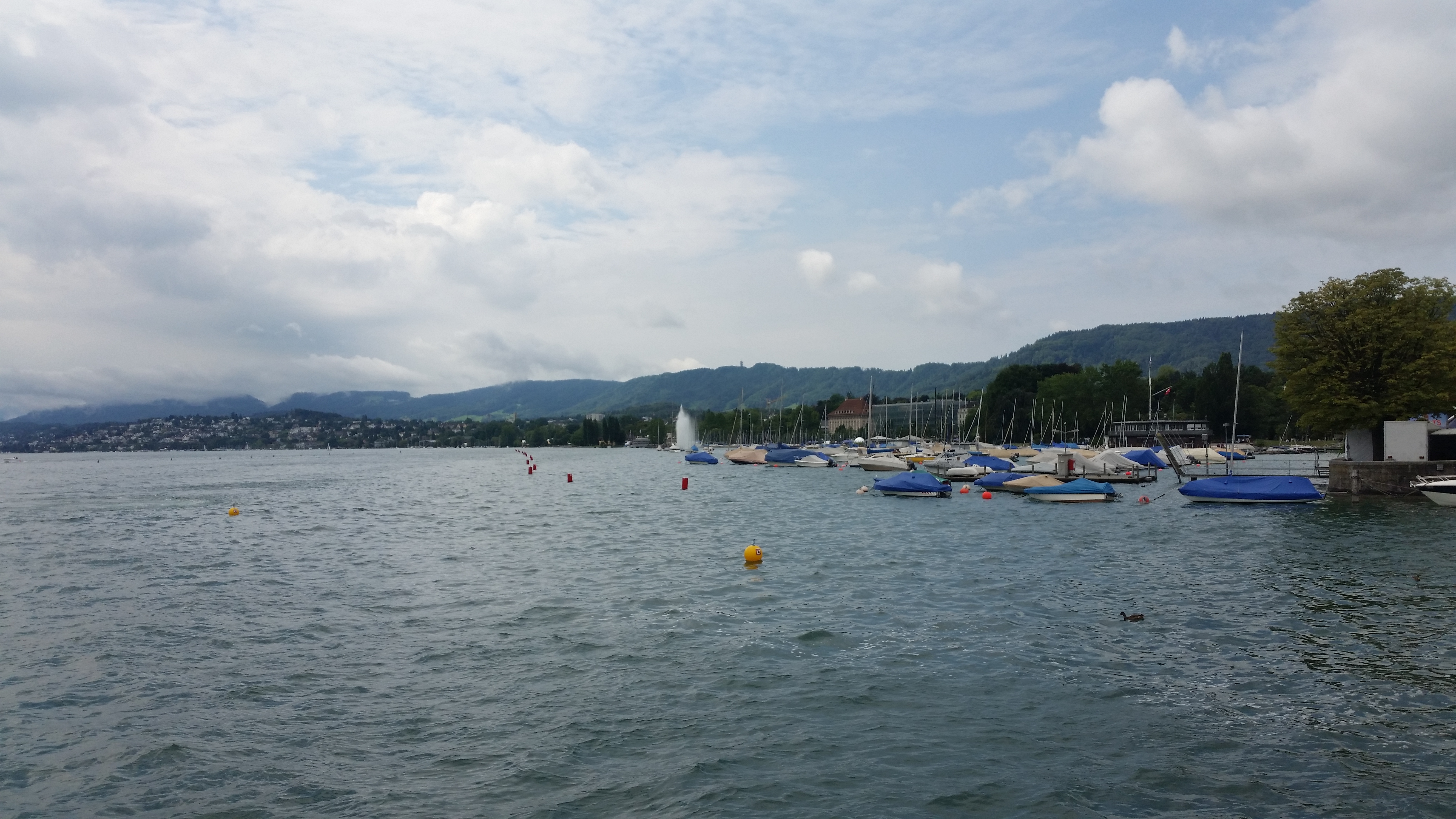 Cover of Zurich